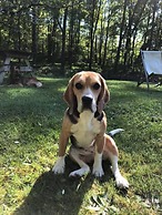 Domaine de la Juranvillerie