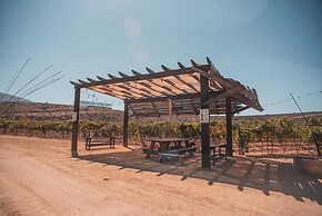 Collection O Hotel Castillo Ferrer