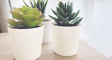 OUCHI HOTEL Takaramachi