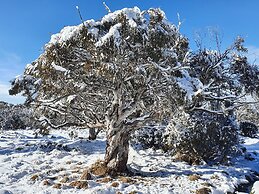 SNOWED INN apartment