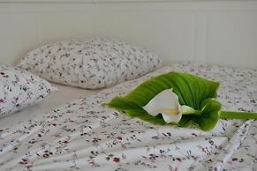 Luxury Apartments Iva