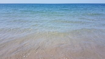 Camino Palmero Coveñas