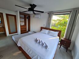 Camino Palmero Coveñas