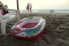 Camino Palmero Coveñas