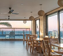 Camino Palmero Coveñas