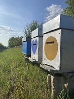 L'intemporel