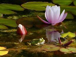 Vida-Vi, Country House and B&B