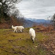 Door2heaven Eco-Hotel and camping