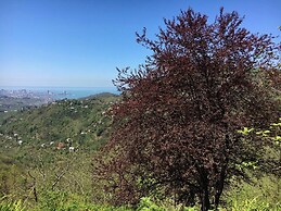 Door2heaven Eco-Hotel and camping