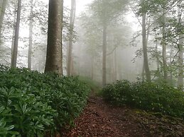 Door2heaven Eco-Hotel and camping