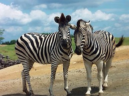 SUPER HOTEL Beppu Ekimae