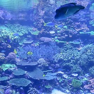 SUPER HOTEL Beppu Ekimae