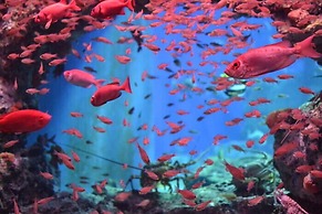 SUPER HOTEL Beppu Ekimae