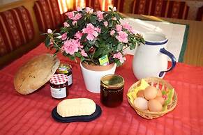 Baby- und Kinderbauernhof Oberhasling