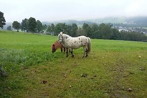 Baby- und Kinderbauernhof Oberhasling