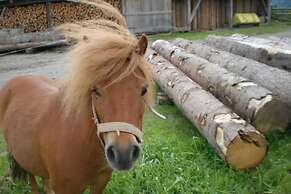 Baby- und Kinderbauernhof Oberhasling
