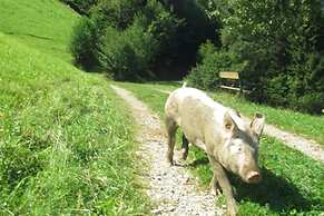 Zwergelhof
