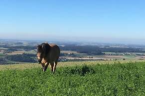 Hochhubergut