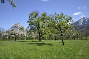 Starbauer