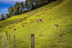 Bio-Bauernhof Vierthalerhof