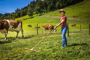 Bio-Bauernhof Vierthalerhof