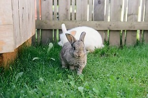 Familienbauernhof Göttfriedbauer