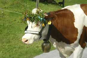 Familienbauernhof Göttfriedbauer