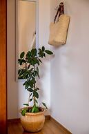 Terra Magica Deluxe Apartment OR Room with Private Parking, Terrace an