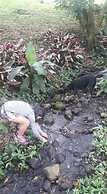 Hotel Pacuare Turrialba
