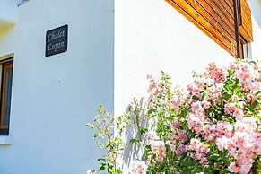 Chalet Lupin