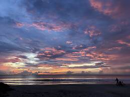 Forest View Apartments