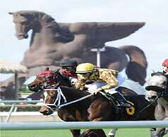 Bposhtels Hollywood Florida - Hostel