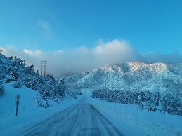 Mountain View Cabins