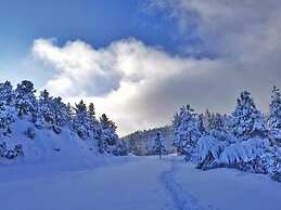 Mountain View Cabins