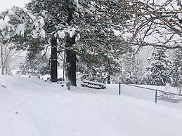 Mountain View Cabins