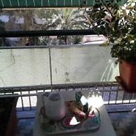 Olimpica Relais Guest House Affittacamere CIR 28624