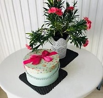 Mamaia Rent Apartments