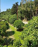 Julia Holiday Apartments