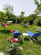 Julia Holiday Apartments