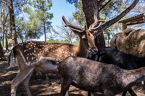 Villa Can Llamas Rent Per Week
