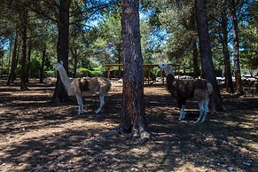 Villa Can Llamas Rent Per Week