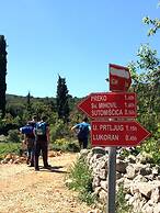 Detached House Miketa