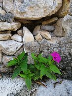 Detached House Miketa