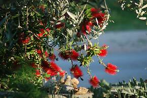 Detached House Miketa