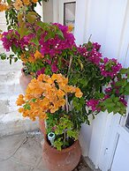 Alkistis Cozy By The Beach Apt in Ikaria Island, Therma Ground Floor