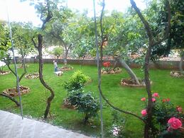 Pansion Ivan, Sućuraj