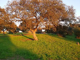House of the Roman Mine in Full Private Nature