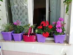 Room in Apartment - Villa Puljic