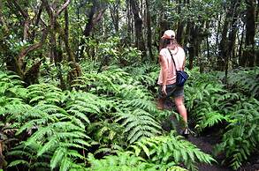 Stunning Ocean Views At Tenerife North