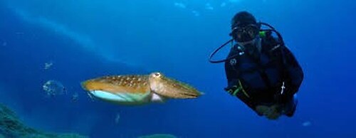 Stunning Ocean Views At Tenerife North